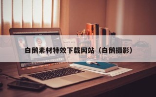 博白白鹅素材特效下载网站（白鹅摄影）